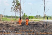 Caption: ilustrasi - Pelaksanaan pemadaman darat di Pulau Semambu Kabupaten Ogan Ilir oleh Tim Satgas Darat BPBD Sumsel. Foto: BPBD Sumsel