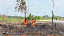 Caption: ilustrasi - Pelaksanaan pemadaman darat di Pulau Semambu Kabupaten Ogan Ilir oleh Tim Satgas Darat BPBD Sumsel. Foto: BPBD Sumsel
