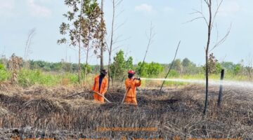 Caption: ilustrasi - Pelaksanaan pemadaman darat di Pulau Semambu Kabupaten Ogan Ilir oleh Tim Satgas Darat BPBD Sumsel. Foto: BPBD Sumsel
