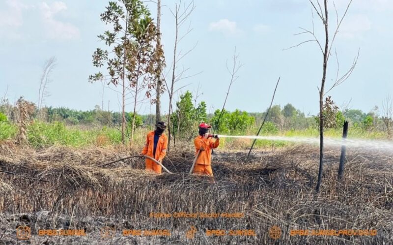 Caption: ilustrasi - Pelaksanaan pemadaman darat di Pulau Semambu Kabupaten Ogan Ilir oleh Tim Satgas Darat BPBD Sumsel. Foto: BPBD Sumsel