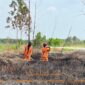 Caption: ilustrasi - Pelaksanaan pemadaman darat di Pulau Semambu Kabupaten Ogan Ilir oleh Tim Satgas Darat BPBD Sumsel. Foto: BPBD Sumsel