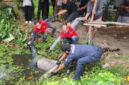 Warga Temukan Mayat Pria Mengapung di Kolam 