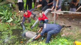 Warga Temukan Mayat Pria Mengapung di Kolam 