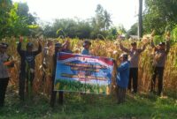 Kapolsek Buay Madang Timur IPTU Swisspo, bersama jajaran personel Polsek, Kepala Desa Tanjung Mas Sumadi, dan petani setempat membentangkan spanduk saat mengikuti kegiatan Panen Jagung Kuartal II Tahun 2026 di Desa Tanjung Mas, Kecamatan Buay Madang Timur, Kabupaten OKU Timur. 