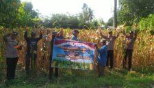 Kapolsek Buay Madang Timur IPTU Swisspo, bersama jajaran personel Polsek, Kepala Desa Tanjung Mas Sumadi, dan petani setempat membentangkan spanduk saat mengikuti kegiatan Panen Jagung Kuartal II Tahun 2026 di Desa Tanjung Mas, Kecamatan Buay Madang Timur, Kabupaten OKU Timur.
