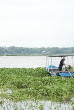 Dari Gulma Menjadi Berkah, Pertamina Patra Niaga Dorong Pemberdayaan Masyarakat Berbasis Pengelolaan Eceng Gondok