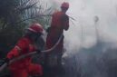Personel Manggala Agni Daops Sumatera XIV/Banyuasin lakukan pemadaman di lahan terbakar. Foto: Manggala Agni
