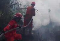 Personel Manggala Agni Daops Sumatera XIV/Banyuasin lakukan pemadaman di lahan terbakar. Foto: Manggala Agni