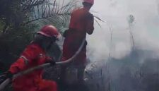 Personel Manggala Agni Daops Sumatera XIV/Banyuasin lakukan pemadaman di lahan terbakar. Foto: Manggala Agni