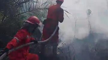 Personel Manggala Agni Daops Sumatera XIV/Banyuasin lakukan pemadaman di lahan terbakar. Foto: Manggala Agni