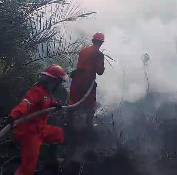 Personel Manggala Agni Daops Sumatera XIV/Banyuasin lakukan pemadaman di lahan terbakar. Foto: Manggala Agni