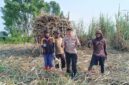 Kapolsek Buay Madang Timur Iptu Swisspo, memberikan imbauan larangan pembakaran hutan dan lahan (karhutla) saat menyambangi petani tebu di Desa Sukamaju, Kecamatan Buay Madang Timur, Kabupaten OKU Timur. 
