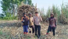 Kapolsek Buay Madang Timur Iptu Swisspo, memberikan imbauan larangan pembakaran hutan dan lahan (karhutla) saat menyambangi petani tebu di Desa Sukamaju, Kecamatan Buay Madang Timur, Kabupaten OKU Timur.