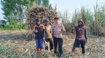 Kapolsek Buay Madang Timur Iptu Swisspo, memberikan imbauan larangan pembakaran hutan dan lahan (karhutla) saat menyambangi petani tebu di Desa Sukamaju, Kecamatan Buay Madang Timur, Kabupaten OKU Timur.