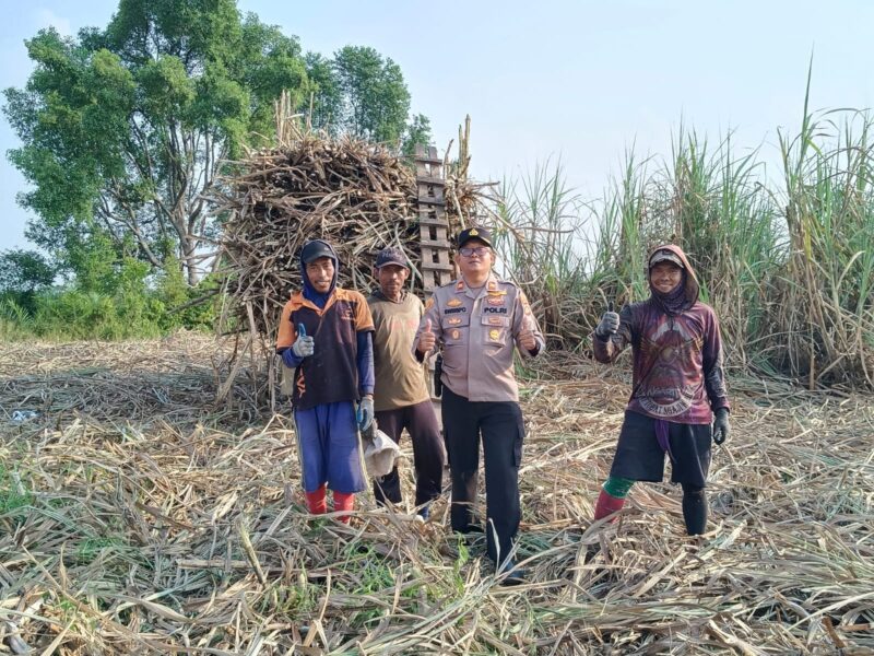 Kapolsek Buay Madang Timur Iptu Swisspo, memberikan imbauan larangan pembakaran hutan dan lahan (karhutla) saat menyambangi petani tebu di Desa Sukamaju, Kecamatan Buay Madang Timur, Kabupaten OKU Timur. 