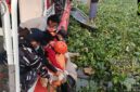 Jasad korban saat dievakuasi ke daratan. Foto: Basarnas Palembang.