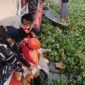 Jasad korban saat dievakuasi ke daratan. Foto: Basarnas Palembang.
