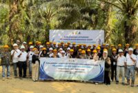 Kurangi Kehilangan Hasil, 133 Pekebun Sawit Muara Enim Ikuti Pelatihan Teknik Panen dan Pascapanen