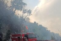 fhoto (istimewa) : tim pemadam berasama tni, polri dan relawan melakukan pemadaman api di kawasan liku endikat