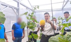 Rutan Baturaja Petik Hasil Pembinaan Melalui Panen Melon