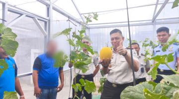 Rutan Baturaja Petik Hasil Pembinaan Melalui Panen Melon