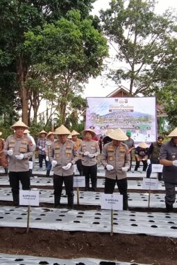 Kapolda Sumsel Pimpin Tanam Perdana Bawang Putih di Kota Pagar Alam