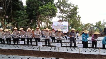 fhoto : Kapolda dan sejumlah kapolres dilingkungan polda sumsel melakukan tanam perdana bawang putih bersama pemkot pagar alam