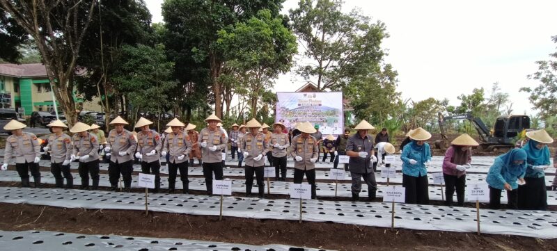 fhoto : Kapolda dan sejumlah kapolres dilingkungan polda sumsel melakukan tanam perdana bawang putih bersama pemkot pagar alam