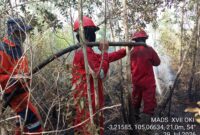 Petugas Manggala Agni da BPBD berjibaku padamkan api. Foto: Manggala Agni.