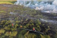 Personel Manggala Agni berjibaku padamkan api di lahan gambut yang terbakar. Foto: Manggala Agni.