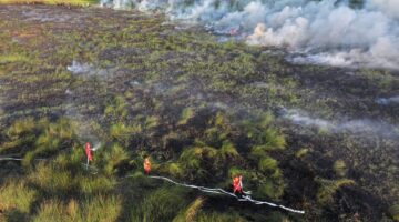 Personel Manggala Agni berjibaku padamkan api di lahan gambut yang terbakar. Foto: Manggala Agni.