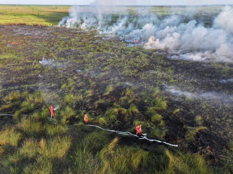Personel Manggala Agni berjibaku padamkan api di lahan gambut yang terbakar. Foto: Manggala Agni.