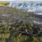 Personel Manggala Agni berjibaku padamkan api di lahan gambut yang terbakar. Foto: Manggala Agni.