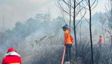 Puluhan Hektar Lahan Area Bandara Atung Bungsu Jadi Santapan Si Jago Merah, Armada STN Turut Berjibaku Lakukan Pemadaman