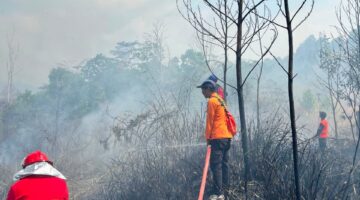 Puluhan Hektar Lahan Area Bandara Atung Bungsu Jadi Santapan Si Jago Merah, Armada STN Turut Berjibaku Lakukan Pemadaman