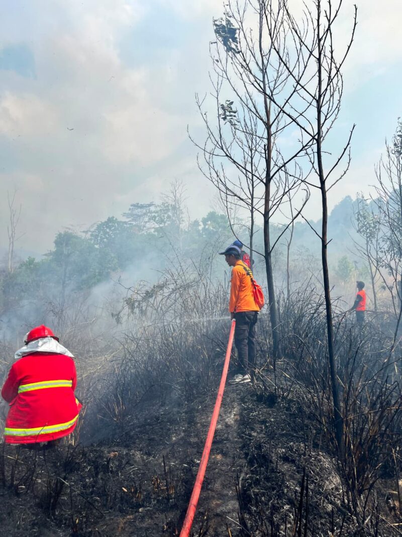 Puluhan Hektar Lahan Area Bandara Atung Bungsu Jadi Santapan Si Jago Merah, Armada STN Turut Berjibaku Lakukan Pemadaman