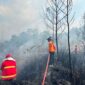 Puluhan Hektar Lahan Area Bandara Atung Bungsu Jadi Santapan Si Jago Merah, Armada STN Turut Berjibaku Lakukan Pemadaman