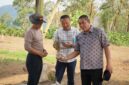 fhoto : walikota pagar alam bersama opd dan dinas terkait cek lahan untuk penanaman bawang putih