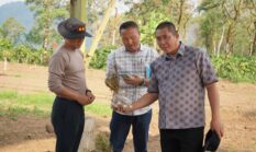 Pagar Alam Tancap Gas Jadi Lumbung Bawang Putih Sumsel, Target 50 Hektare untuk Tekan Impor