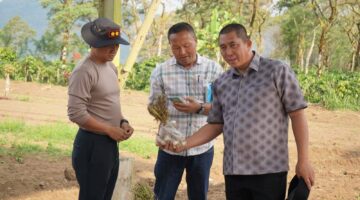 fhoto : walikota pagar alam bersama opd dan dinas terkait cek lahan untuk penanaman bawang putih