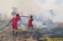 Tim Manggala Agni padamkan api. Foto: Manggala Agni.