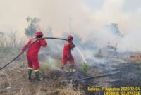 Tim Manggala Agni padamkan api. Foto: Manggala Agni.