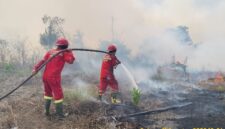 Tim Manggala Agni padamkan api. Foto: Manggala Agni.