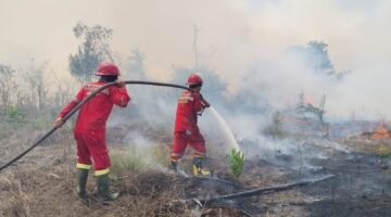 Tim Manggala Agni padamkan api. Foto: Manggala Agni.