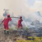 Tim Manggala Agni padamkan api. Foto: Manggala Agni.