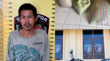 fhoto : herpansyah tersangka pencurian kebun kopi tetangga
