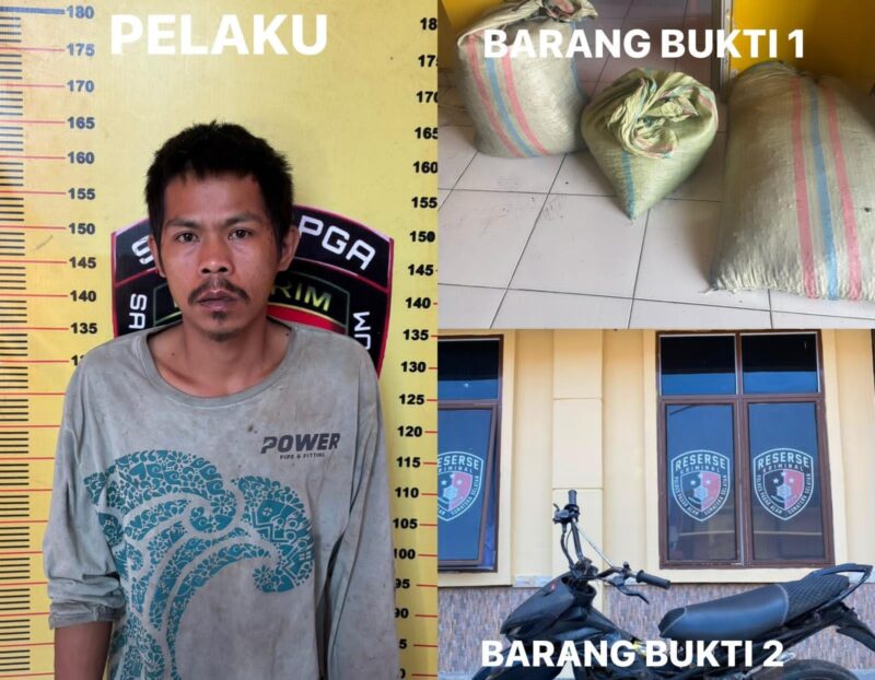 fhoto : herpansyah tersangka pencurian kebun kopi tetangga