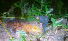 Bersihkan Lahan Samping Rumah, Pensiunan Kaget Temukan Granat Nanas Berkarat