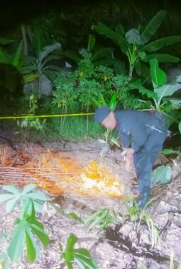 Bersihkan Lahan Samping Rumah, Pensiunan Kaget Temukan Granat Nanas Berkarat