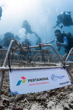 Jaga Ekosistem Bahari, Pertamina Trans Kontinental Tanam Terumbu Karang di Laut Sulawesi Utara